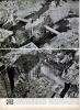 The Battered Face of Germany, Page 2